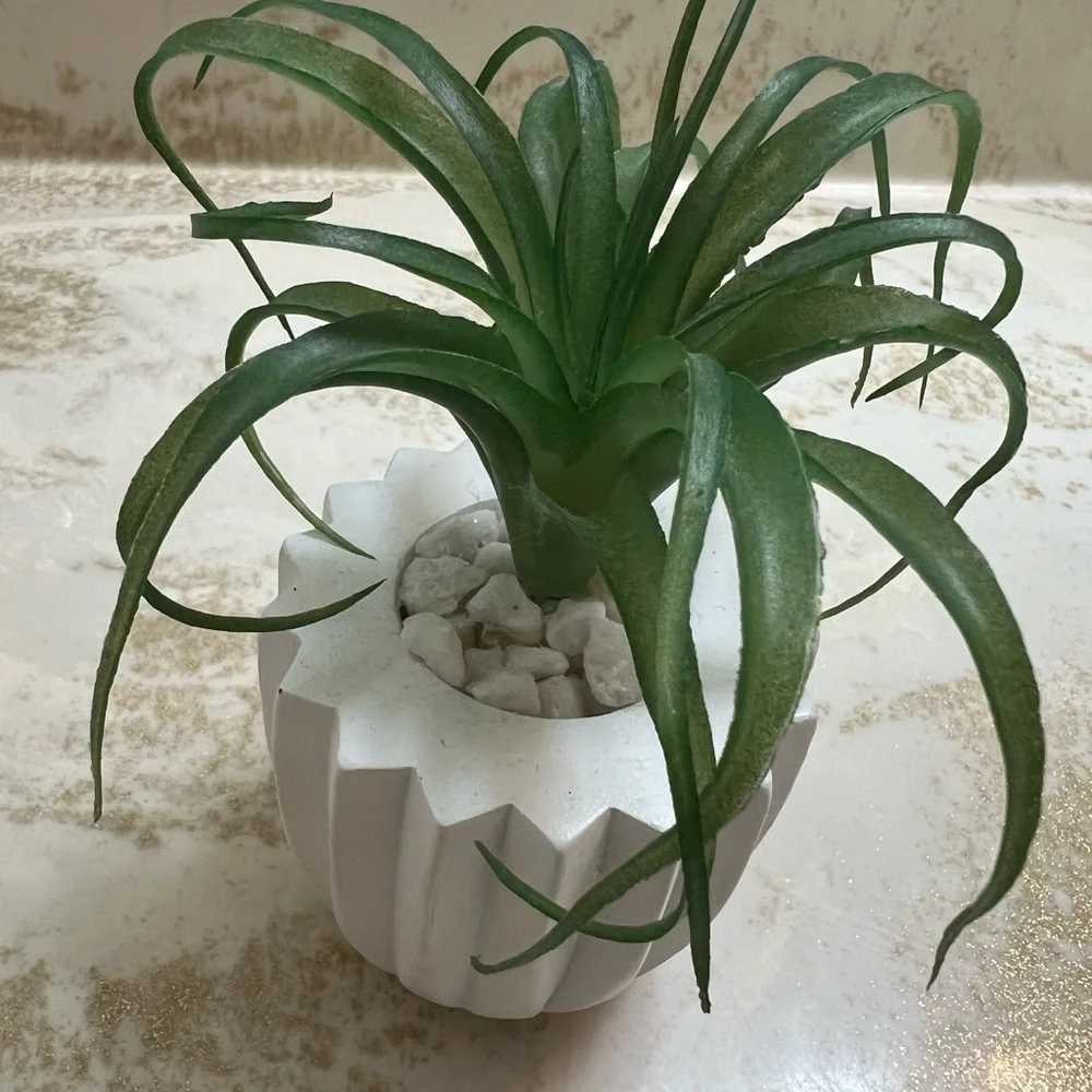 Indoor faux plant